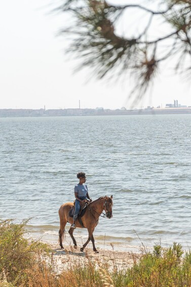A person riding a horse along a shoreline with water and a distant cityscape. 4