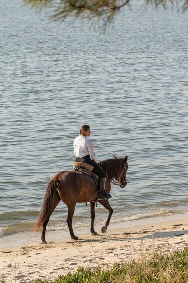 A person riding a horse along a beach with water in the background. 5