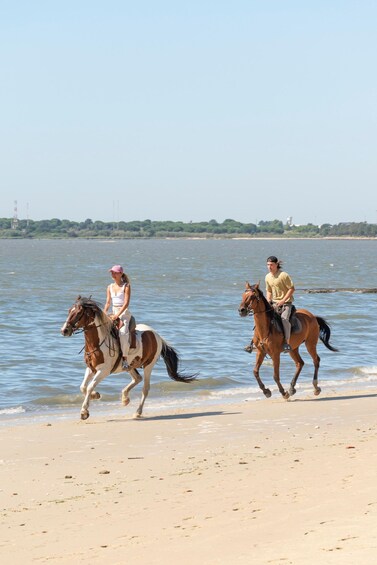 Two people horseback riding along a beach with water in the background. 2