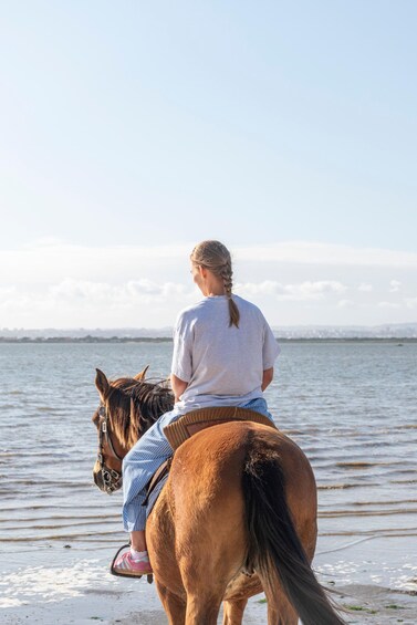 Picture 5 for Activity PRIVATE Horseback Riding On The Beach 4