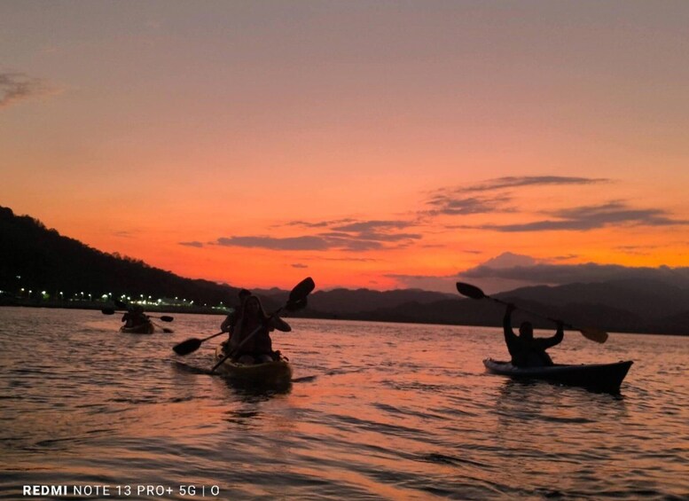 Paquera: Bioluminescent Kayak Tour Costa Rica 1