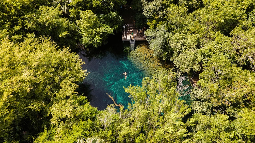 A person swimming in a clear water body surrounded by dense forest. 2