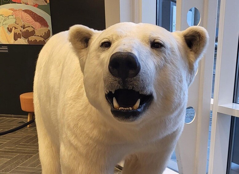 A polar bear statue with a wide-open mouth, standing indoors. 1