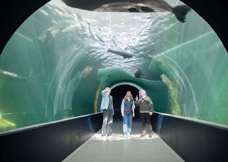 Picture 1 for Activity Tromsø: Guided Polar Bear Walk incl. Polaria & Polar Museum 3