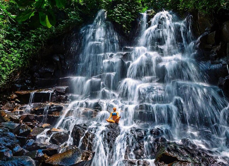 Picture 2 for Activity Bali: Culture Heritage Village & Holy Spring PrivateDay Tour 5