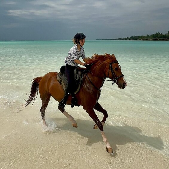 A person riding a horse on a beach with clear turquoise water and a distant island. 2