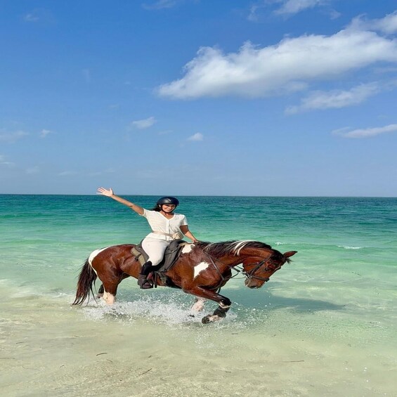 A person riding a horse on a beach with clear water and a blue sky. 3