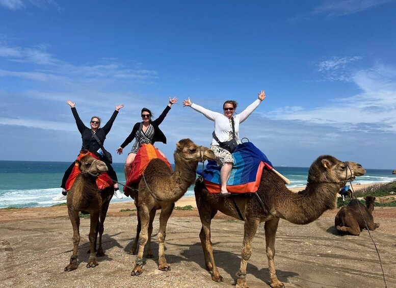 Three people riding camels on a beach with the ocean in the background. 2
