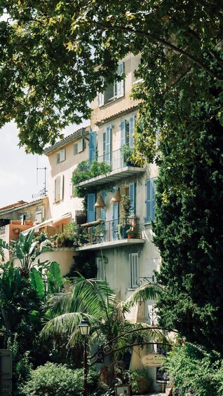 A multi-story building with blue shutters, surrounded by lush greenery and tropical plants. 3