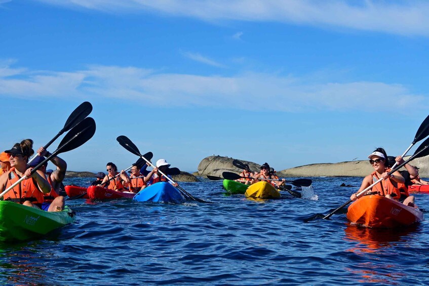 A group of people kayaking on a calm body of water with clear skies. 4
