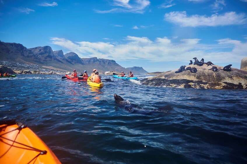 Kayakers on a calm sea with rocky outcrops and mountains in the background. 2
