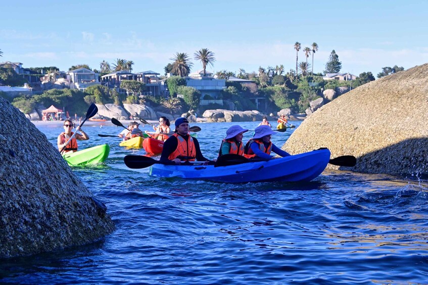 People kayaking on a calm body of water with houses and palm trees in the background. 3