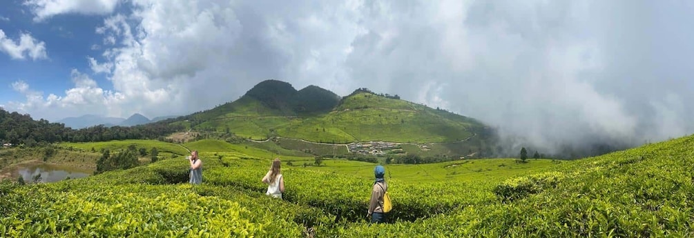 Picture 24 for Activity Bandung: Tangkuban Parahu or White Crater Guided Day Trip 4