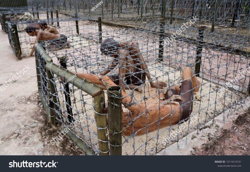 A fenced enclosure with a sandy ground. 4