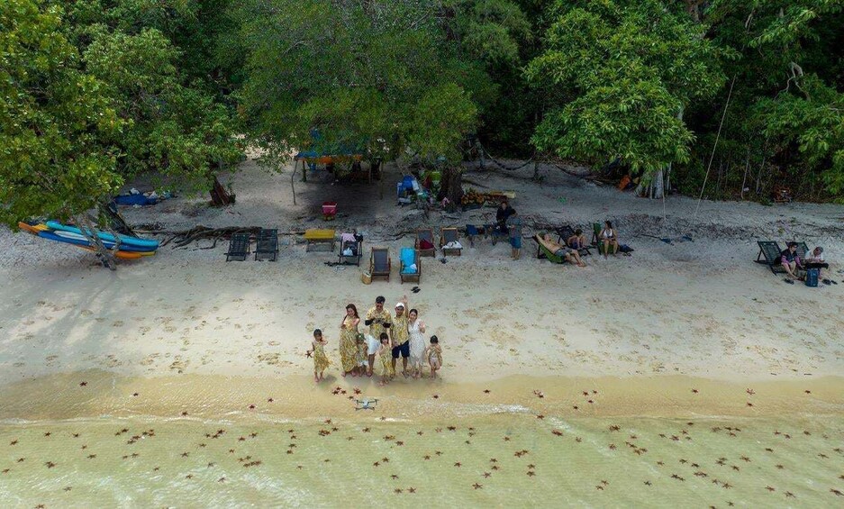 A beach with people gathered, trees, and boats. 2