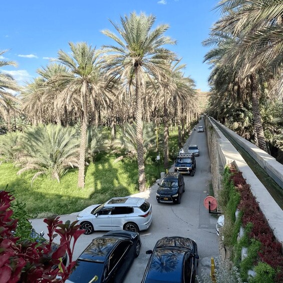 A road lined with palm trees and parked cars. 2