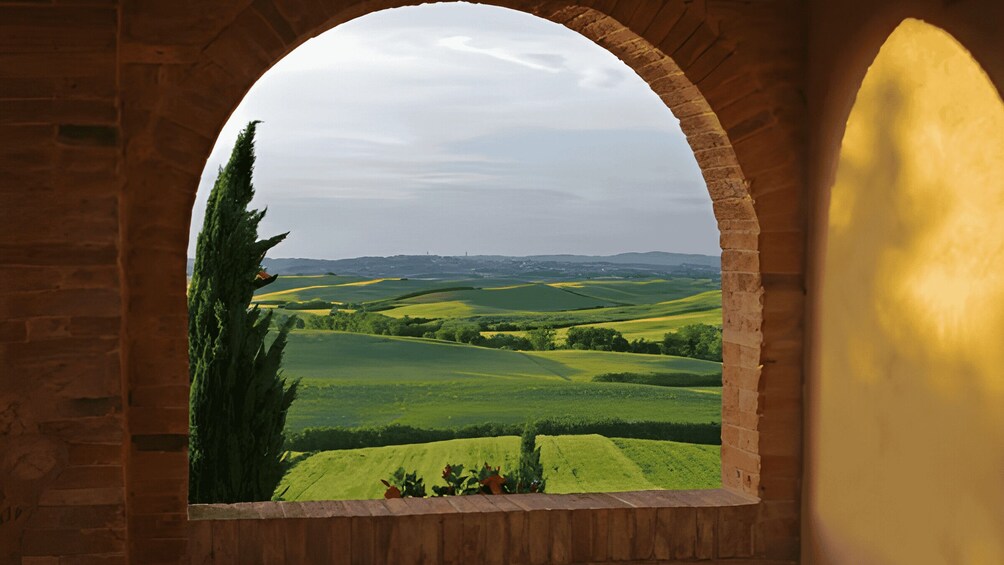 Picture 7 for Activity From Florence: Montepulciano, Pienza e Montalcino 2