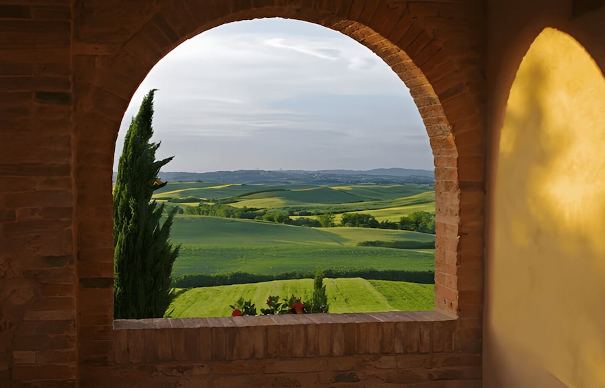 Picture 7 for Activity From Florence: Montepulciano, Pienza e Montalcino 5