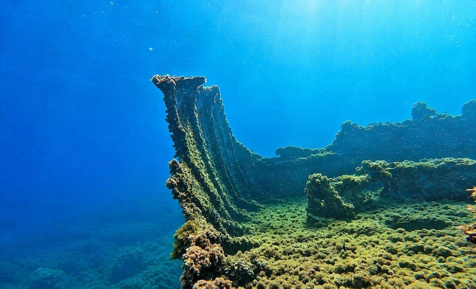An underwater coral reef with a prominent vertical rock formation and diverse marine life. 3