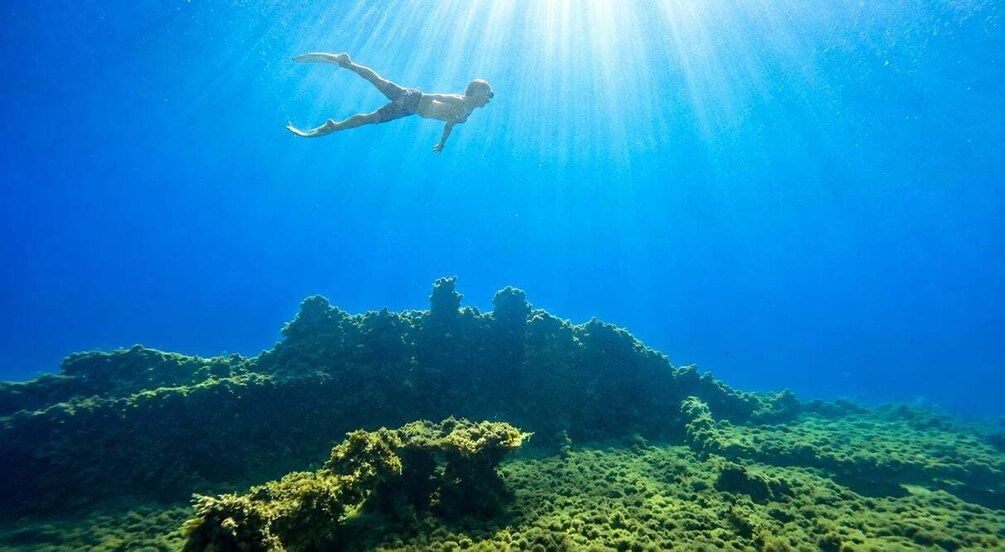 A person swimming underwater with sunlight filtering through the water. 4