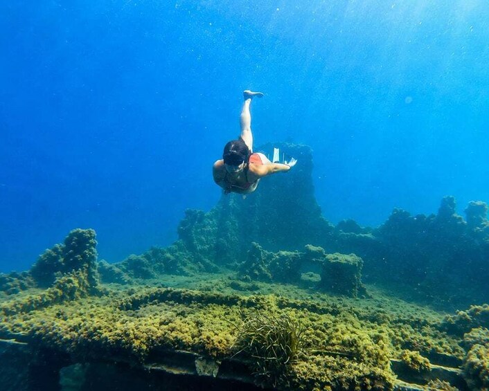 A person scuba diving underwater with coral formations and marine life. 2