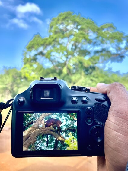 A camera with a viewfinder displaying a tree branch. 5