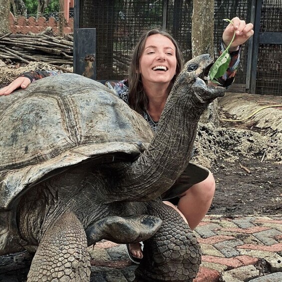 Una persona interactuando con una gran tortuga en un recinto de un zoológico. 1