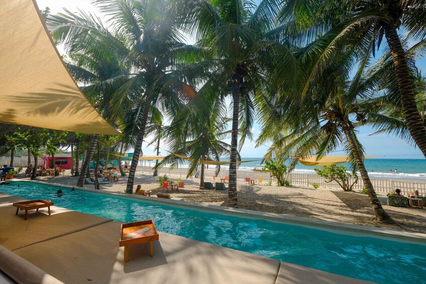 Picture 2 for Activity Eco-Luxury Beach Escape at Pink Mango, Tierra Bomba 2