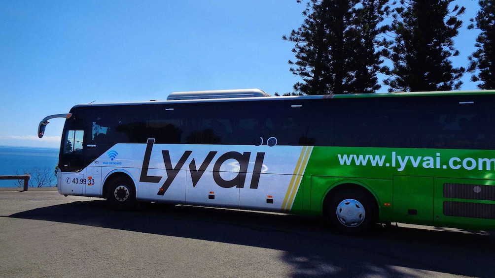 A green and white bus with 'Lyval' and 'www.lyval.com' on its side parked by a scenic overlook. 1
