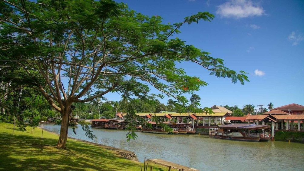 Picture 15 for Activity Bohol Private Tour: Chocolate Hills, Tarsiers & Loboc River 4