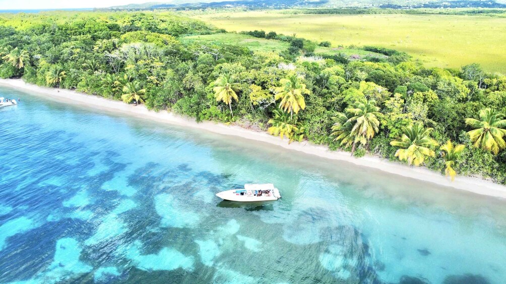 Picture 6 for Activity Marie-Galante: All-Inclusive Boat Excursion, Tour, Meal and Swimming 4