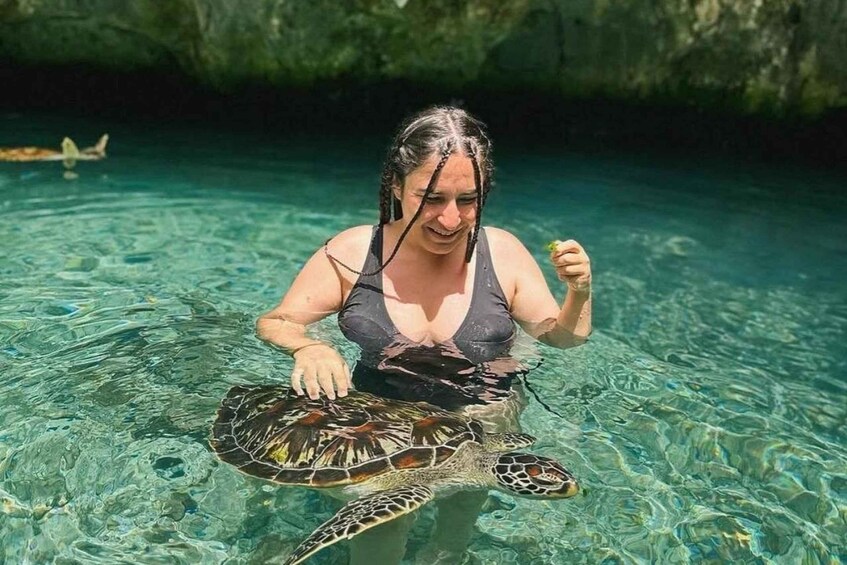 A person in clear water holding a sea turtle. 1