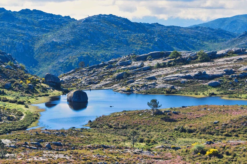 Picture 7 for Activity Alto Minho Tour - Peneda-Gerês National Park 5