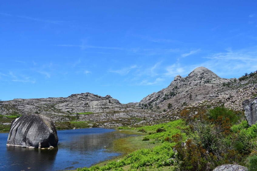 Picture 11 for Activity Alto Minho Tour - Peneda-Gerês National Park 3