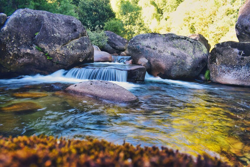 Picture 2 for Activity Alto Minho Tour - Peneda-Gerês National Park 4