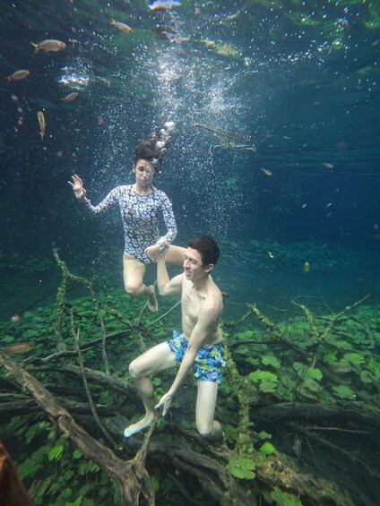 Two people underwater surrounded by aquatic plants and fish. 4