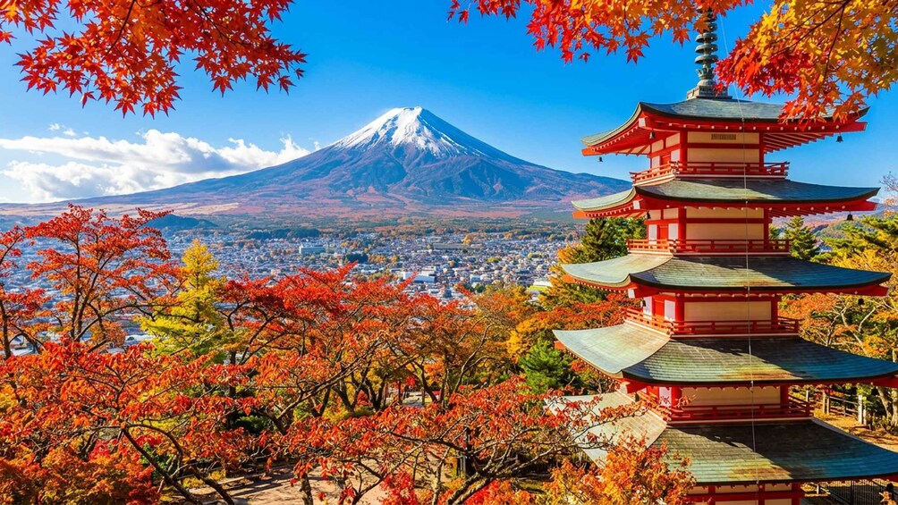 Picture 5 for Activity Tokyo: Mt Fuji & Oishi Park & Lake Kawaguchi & Oshino Hakkai 3