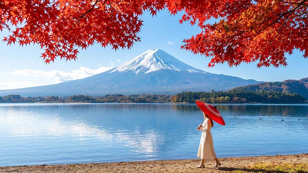 Picture 2 for Activity Tokyo: Mt Fuji & Oishi Park & Lake Kawaguchi & Oshino Hakkai 2
