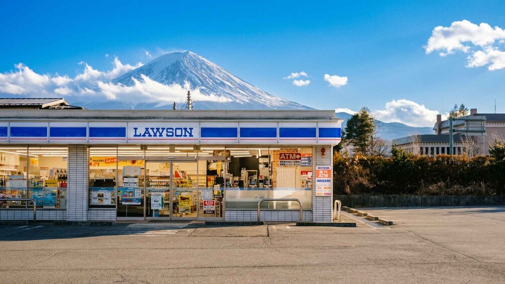 Picture 8 for Activity Tokyo: Mt Fuji & Oishi Park & Lake Kawaguchi & Oshino Hakkai 5