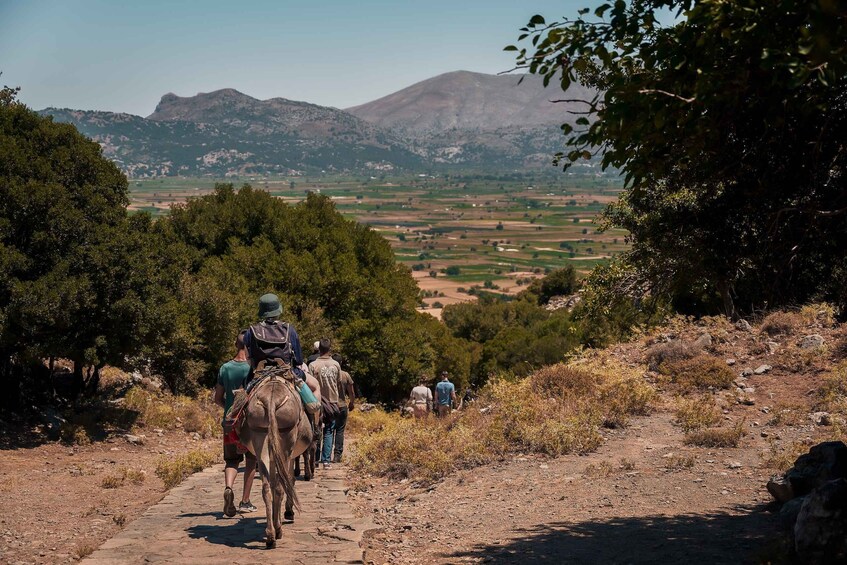 A group of people walking on a stone path with a mountainous landscape in the background. 2