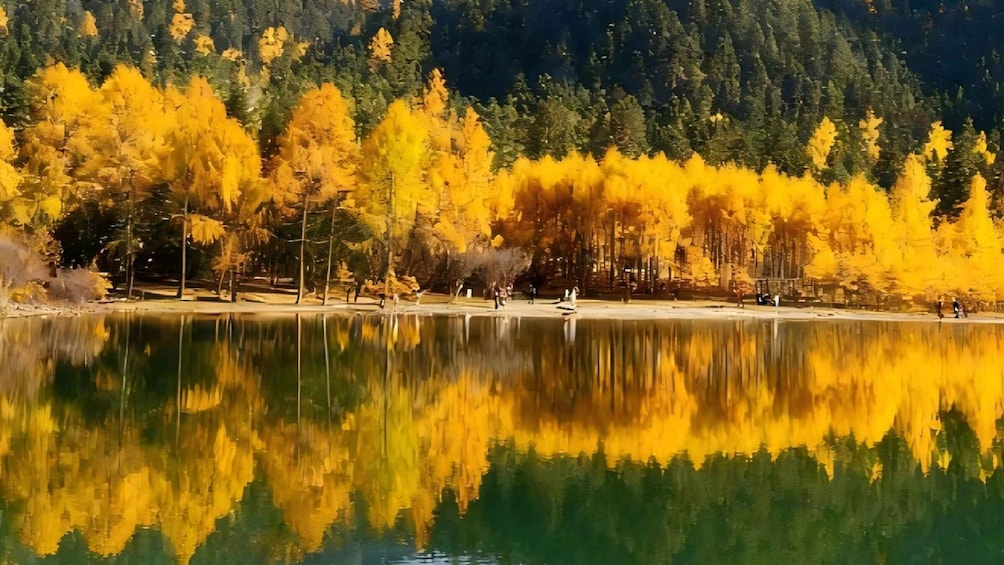 A lake reflecting yellow trees and a forested mountain in the background. 5