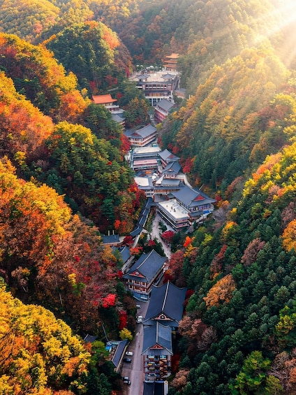 A traditional Japanese temple complex nestled in a forested valley with autumn foliage. 2
