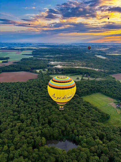 Picture 1 for Activity Hot Air Balloon Flight over the Châteaux in Loire Valley 5