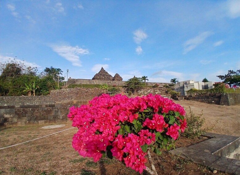 A heart-shaped flower bed with pink flowers in front of a temple with a pyramid-shaped roof. 1