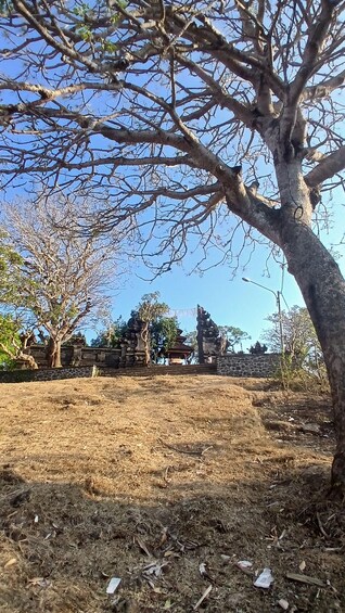 A dry, grassy area with a large tree in the foreground and stone structures in the background. 3