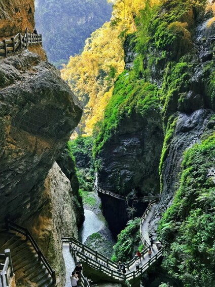 Chongqing: 5-Day Private Tour with Hotel & Transfers 1