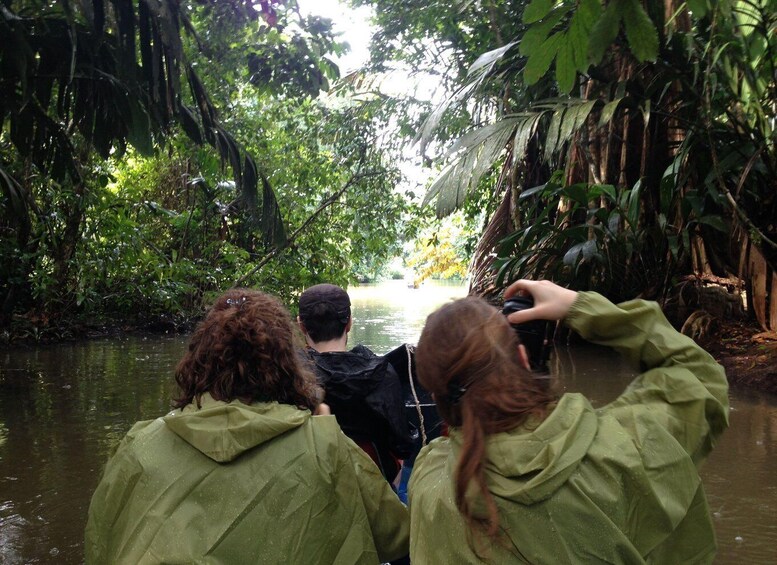 Picture 8 for Activity Tortuguero: Canoe Tour and Wildlife Spotting 4