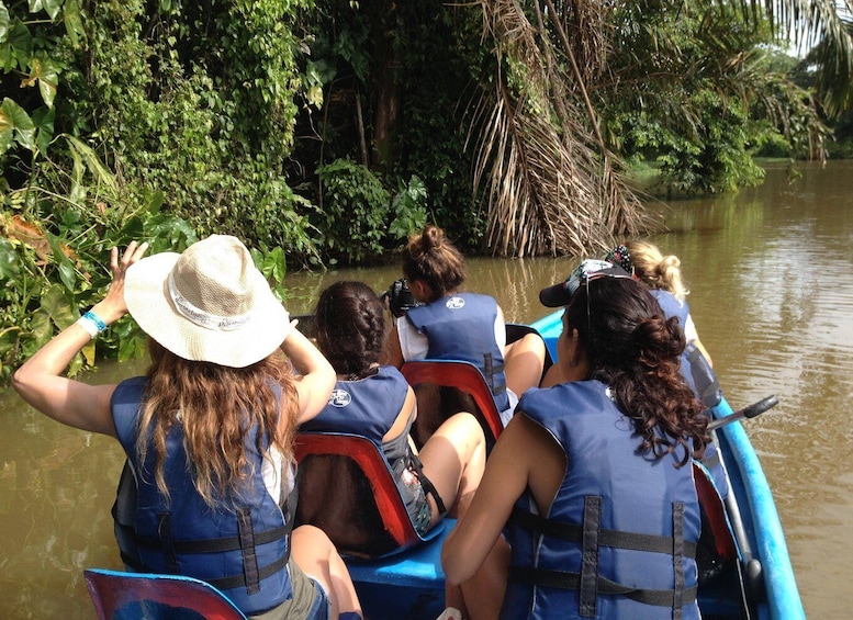 Picture 6 for Activity Tortuguero: Canoe Tour and Wildlife Spotting 2