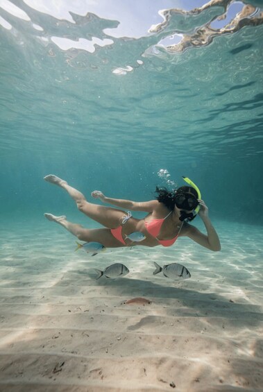 Una persona haciendo snorkel bajo el agua, rodeada de peces. 2