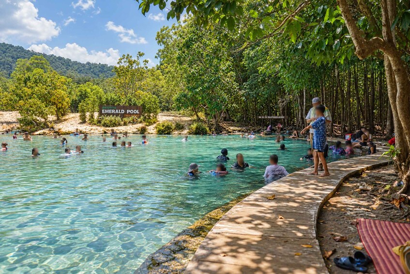 Picture 8 for Activity Krabi Private Escape: Emerald Pool, Hot Springs & Tiger Cave 5